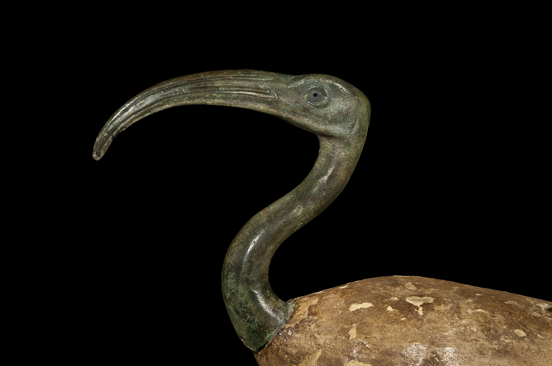 A Seated Figure of the God Thoth as an Ibis - Image 5