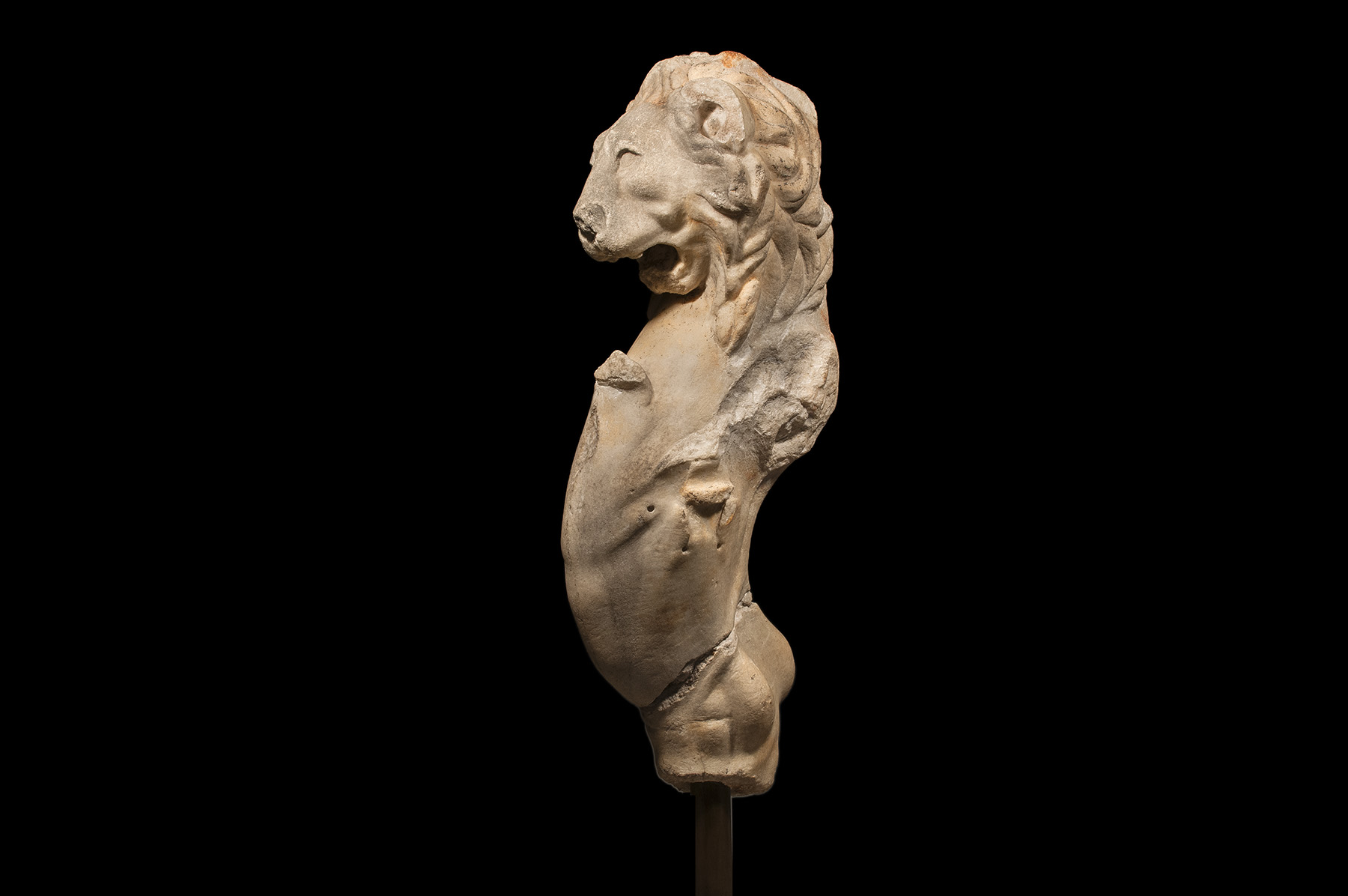 Trapezophoros Leg in the Form of a Lion - Image 6