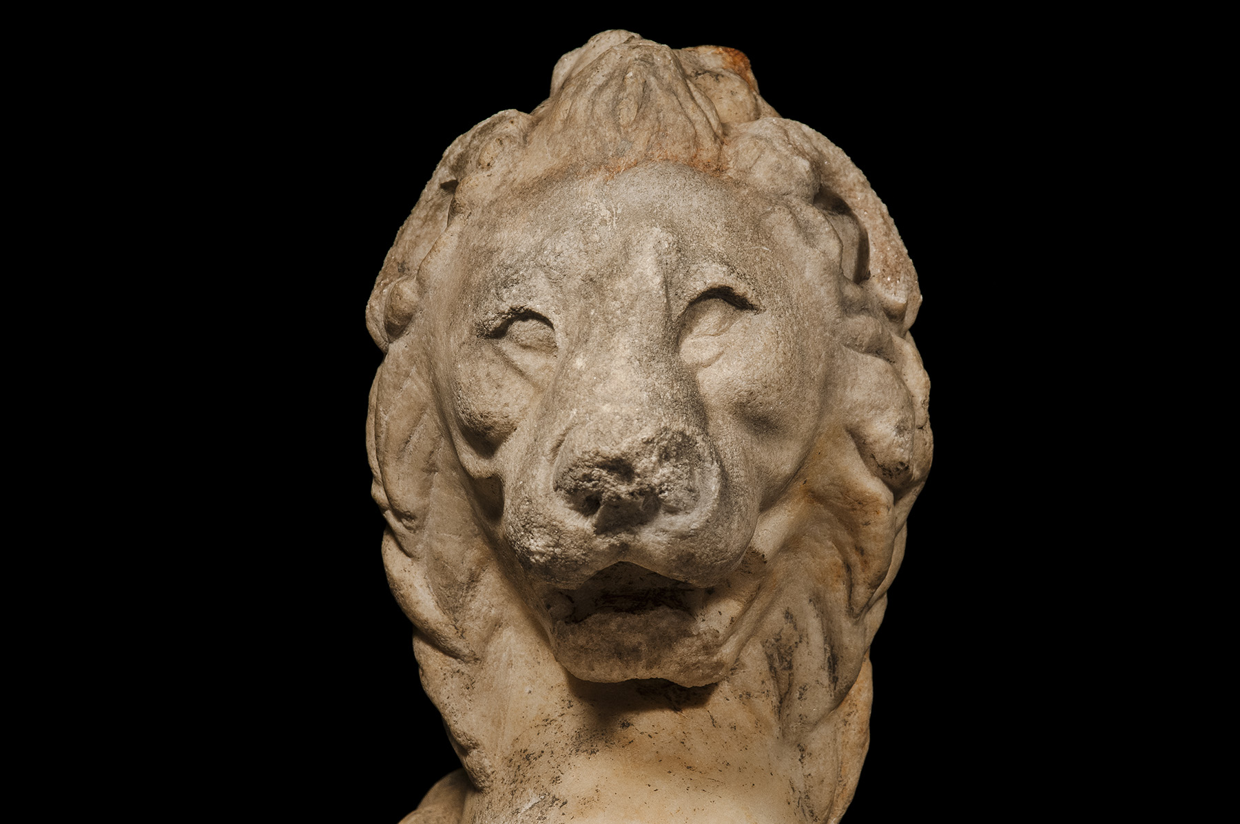 Trapezophoros Leg in the Form of a Lion - Image 4