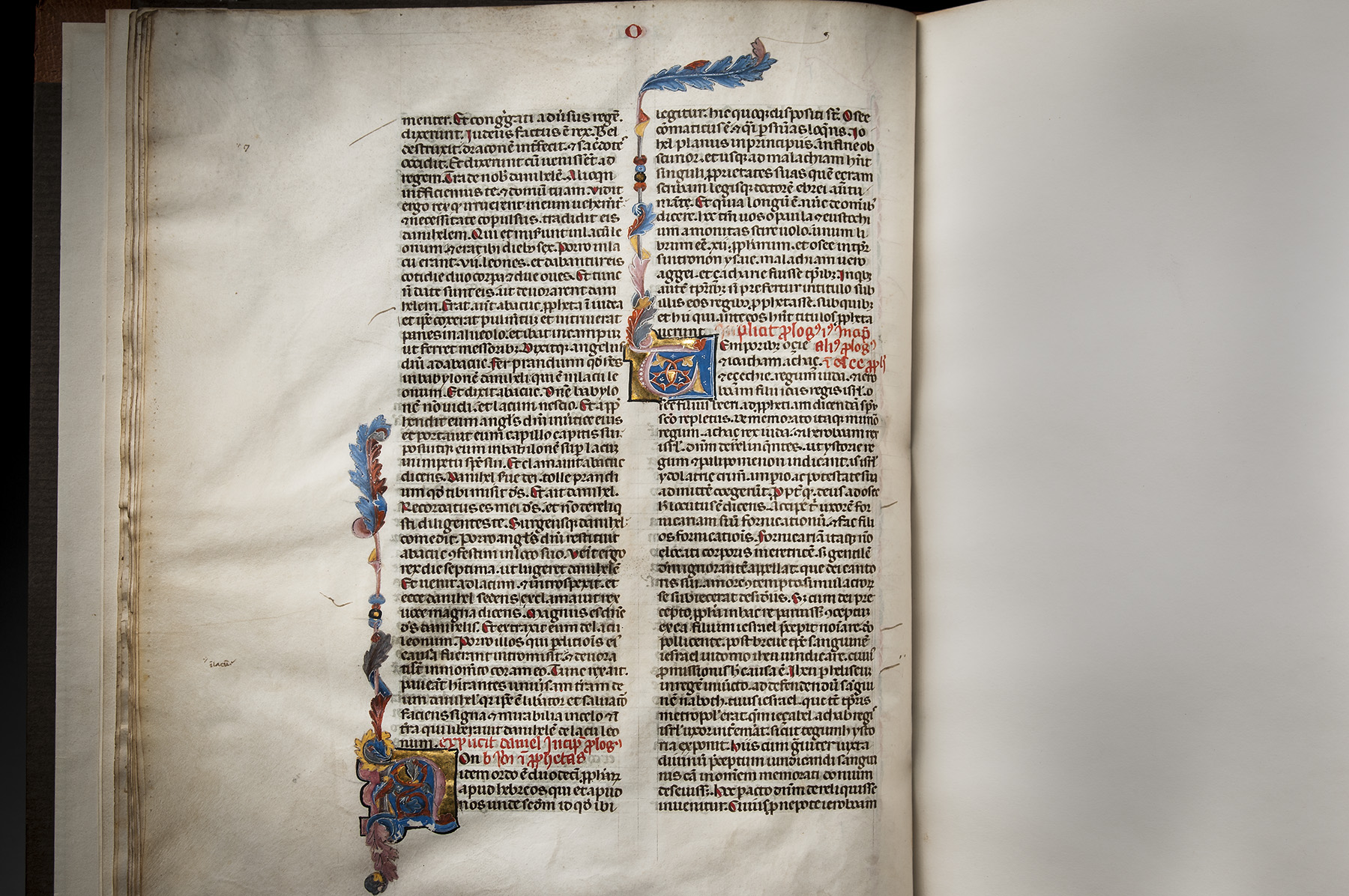 BOOK OF DANIEL, from a folio Bible