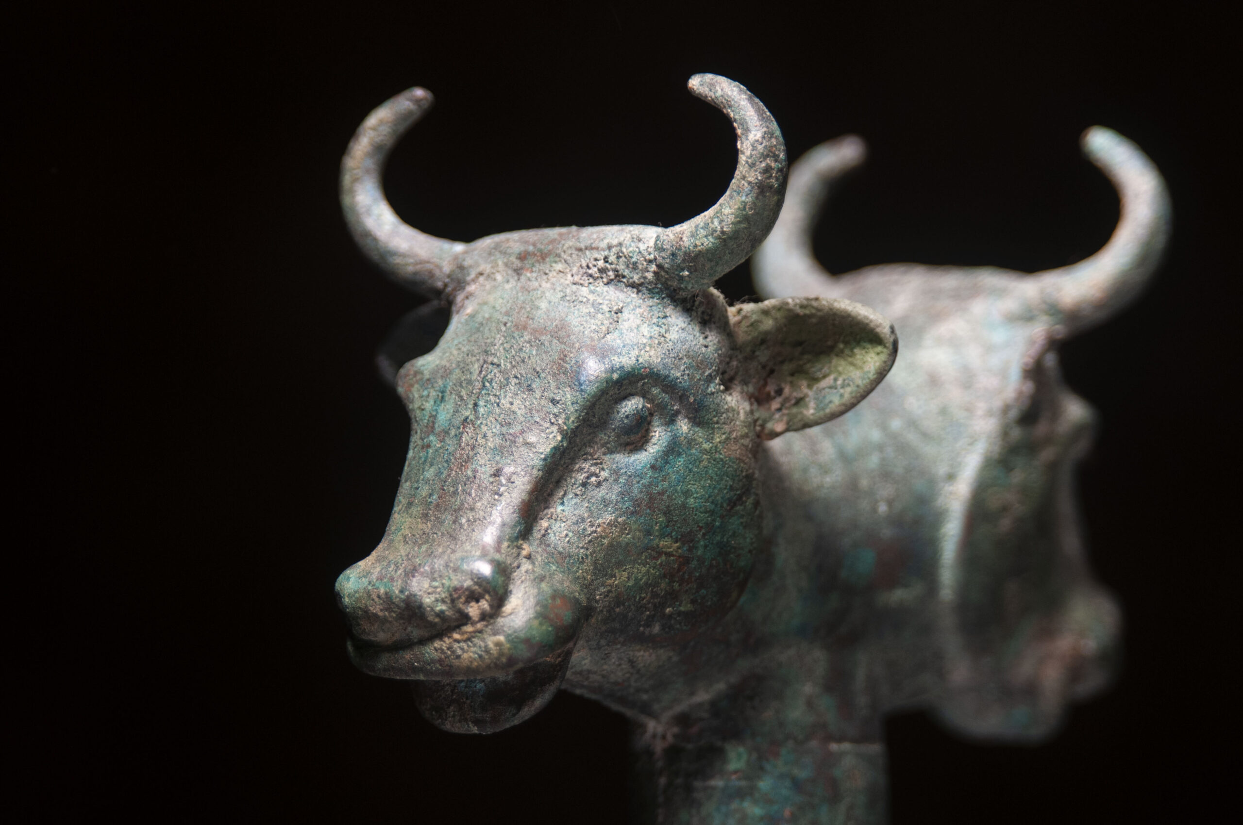 Bronze Double-Headed Bull Mace Head - Image 3